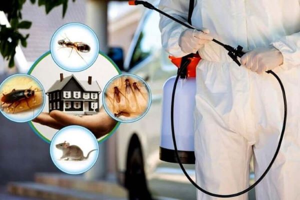 Integrated Pest Control